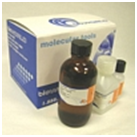 Gene Bullet-G 粒子轟擊用鎢粒供應商 粒子轟擊用鎢粒批發(fā)商 粒子轟擊用鎢粒價格