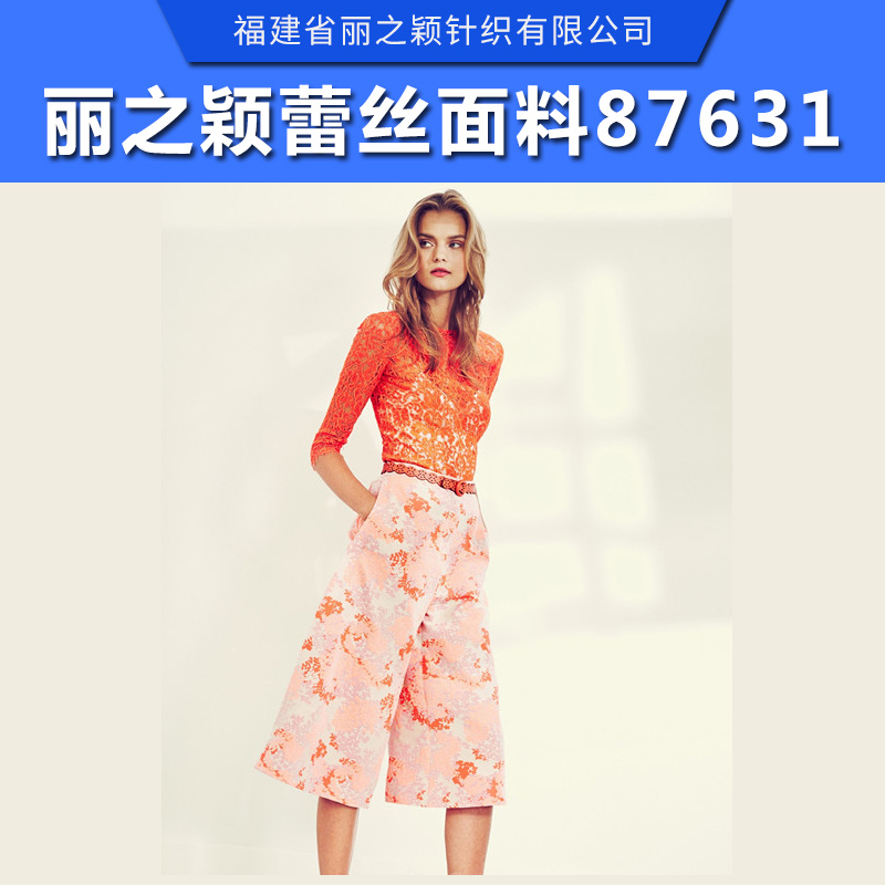 精致麗之穎蕾絲面料 麗之穎蕾絲面料 蕾絲面料 蕾絲面料廠家批發(fā) 精致麗之穎蕾絲面料87631