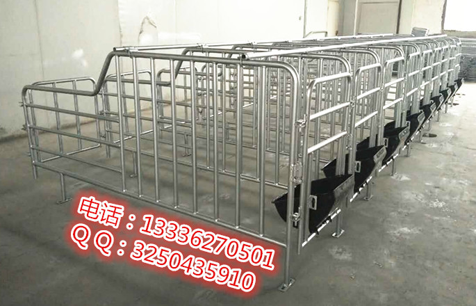 四川優(yōu)質(zhì)定位欄價(jià)格 定位欄價(jià)格 定位欄圖片 母豬限位欄