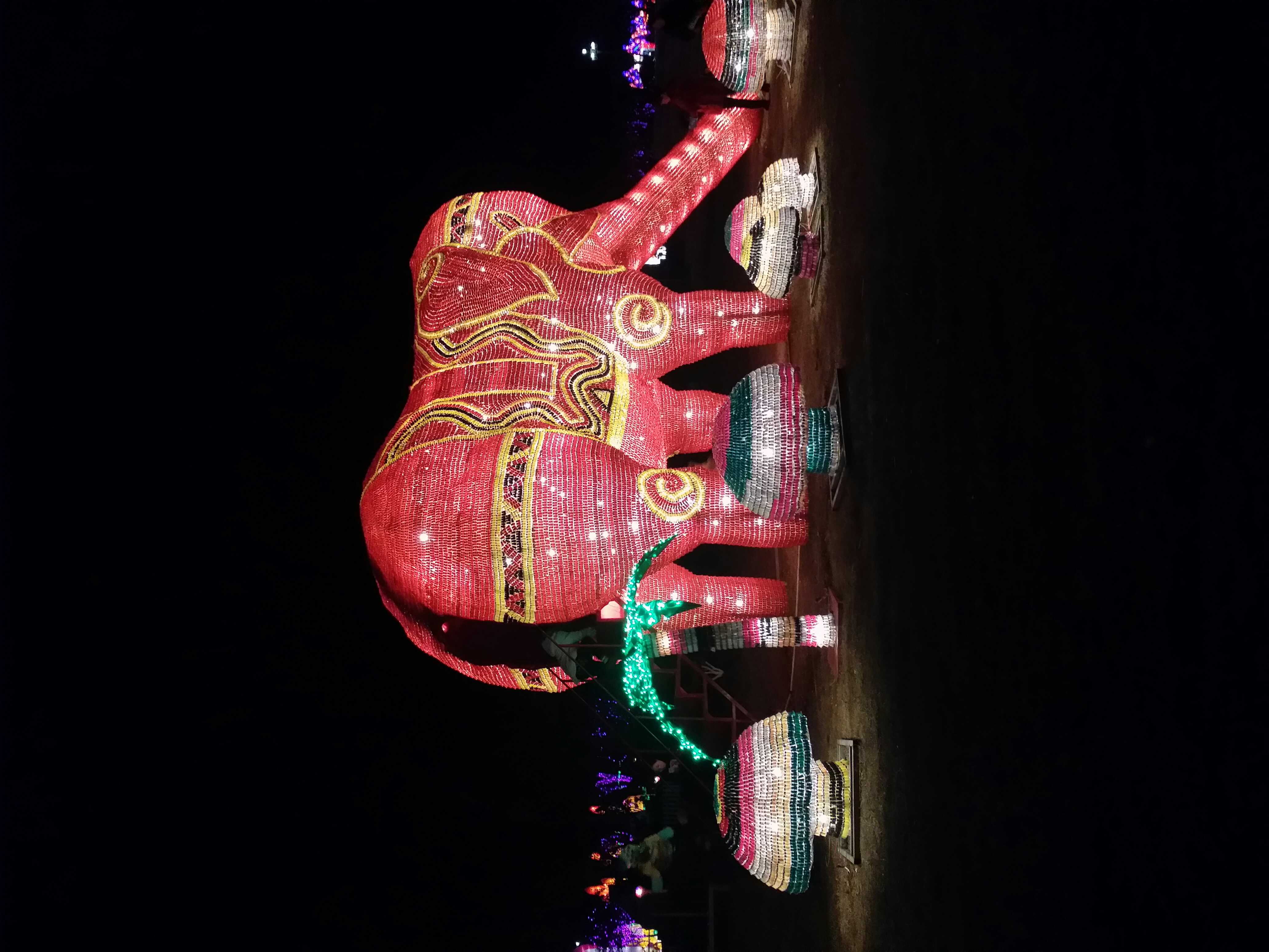 佛山燈光節(jié)活動(dòng)方案上門制作免費(fèi)設(shè)