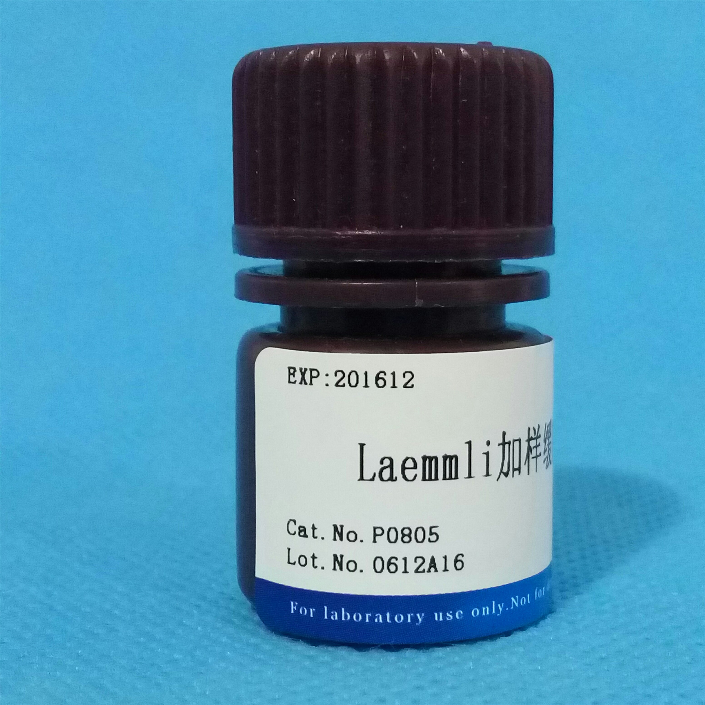 Laemmli加樣緩沖液(2×)NobleRyder P0805