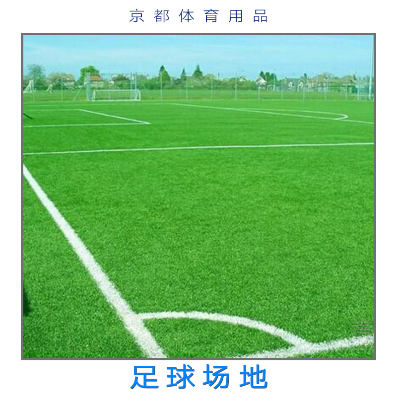 足球場地 足球場地人造草坪 足球場地鋪設(shè)地毯 運動場地設(shè)計施工 運動設(shè)施 廣州足球場地