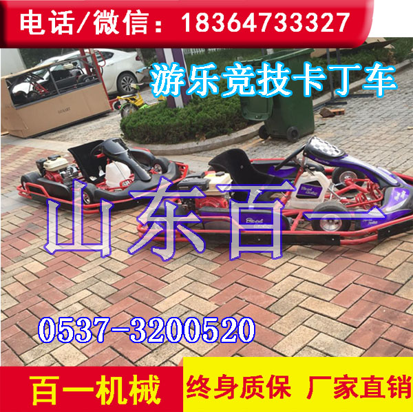 百一牌游樂卡丁車  單人競技卡丁車廠家
