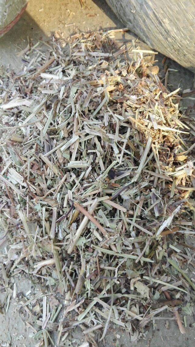 河南花生秧粉批發(fā) 河南哪里賣花生秧粉 駐馬店花生秧粉
