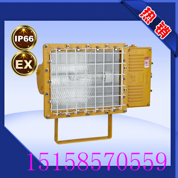 供應(yīng)BFC8110/HN防爆泛光燈 廠家直銷 *齊全 規(guī)格齊全