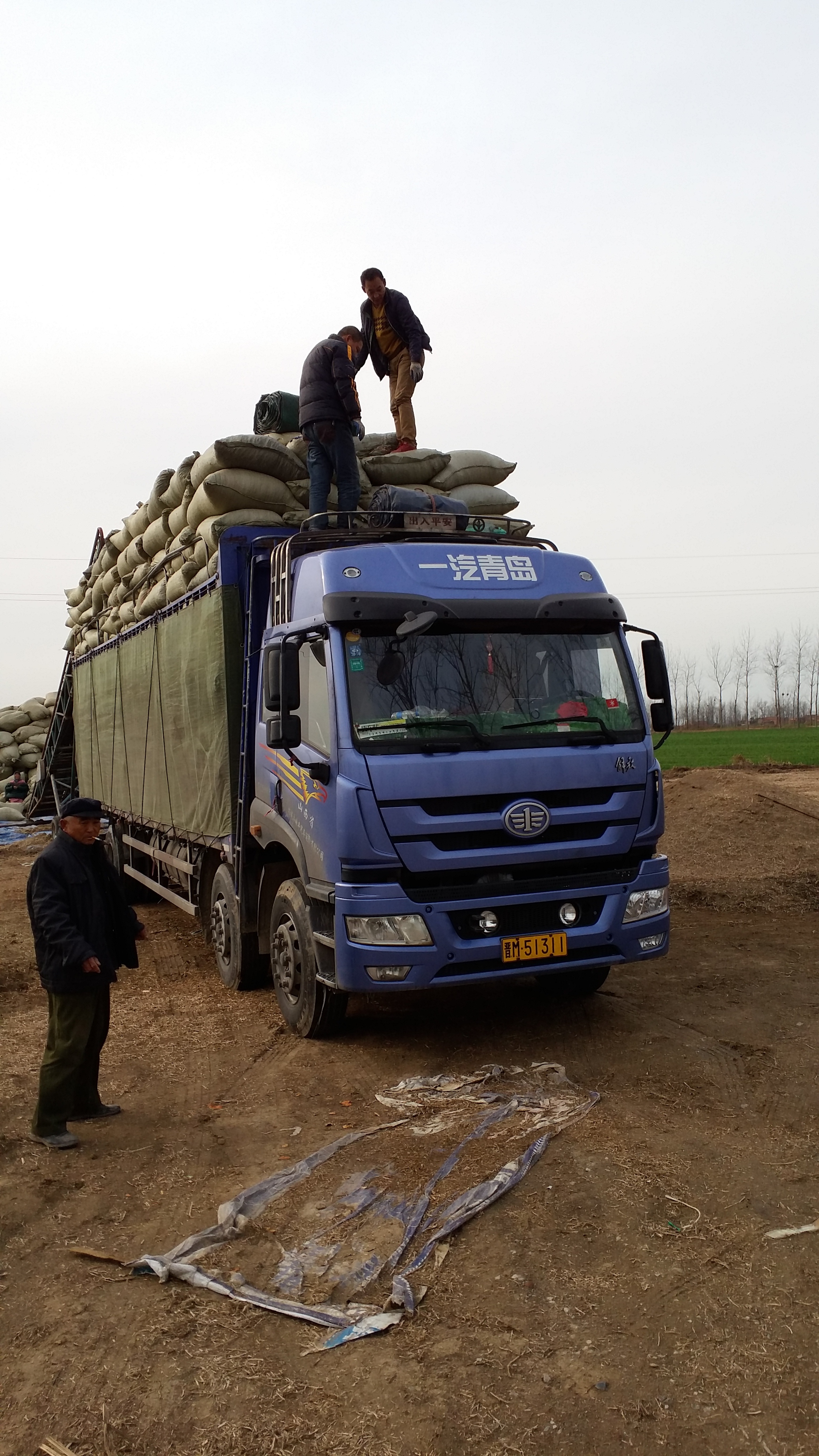 內(nèi)蒙古花生秧價格，內(nèi)蒙古花生秧批發(fā)，