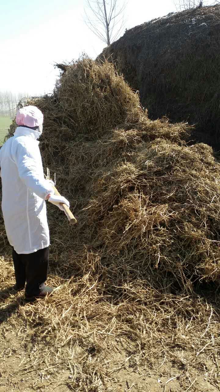 唐山花生秧批發(fā)，唐山花生秧草粉，花生秧秸稈多少錢一噸