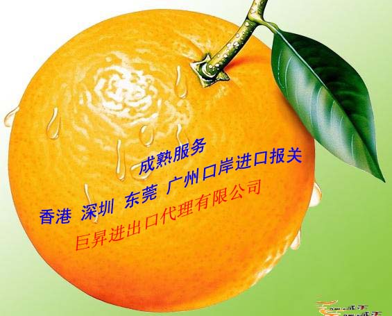 廣州紅酒進(jìn)口代理報關(guān)公司 紅酒進(jìn)口代理報關(guān) 紅酒進(jìn)口代理報關(guān)價格