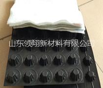 塑料立體隧道防水板山東領翔長期供應