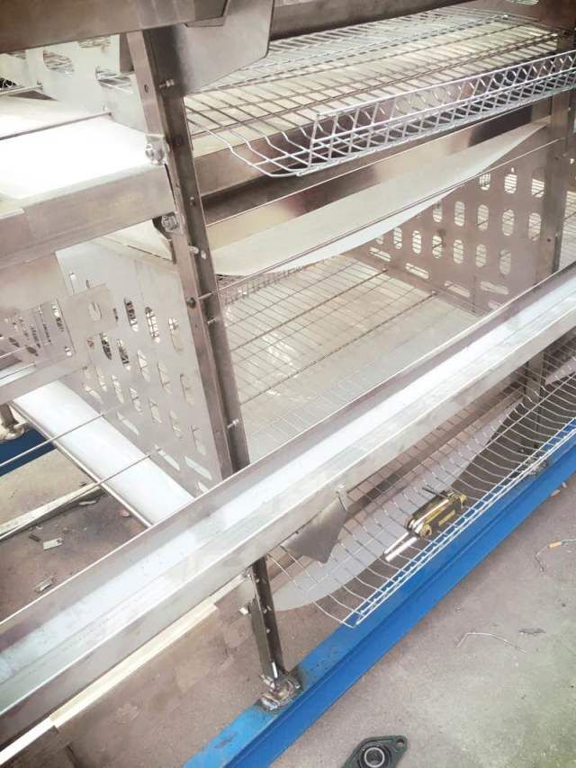 層疊式全自動化蛋雞籠