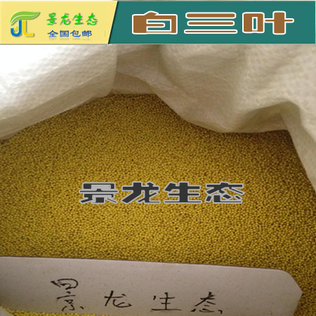 包衣草種 包衣狗牙根 包衣結(jié)縷草 包衣白三葉 包衣紅三葉 馬蹄金