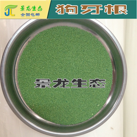 包衣草種 包衣狗牙根 包衣結(jié)縷草 包衣白三葉 包衣紅三葉 馬蹄金