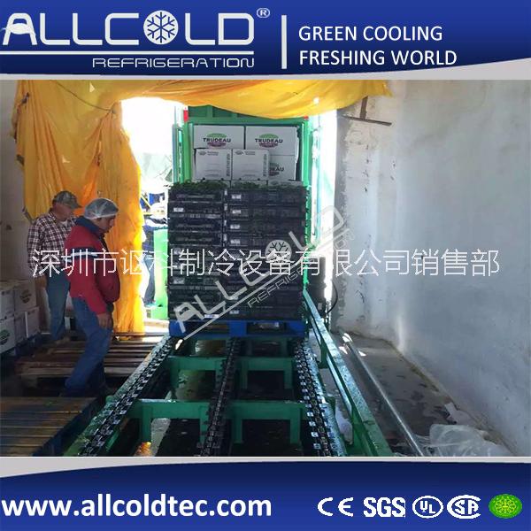 鮮花真空預(yù)冷機(jī)