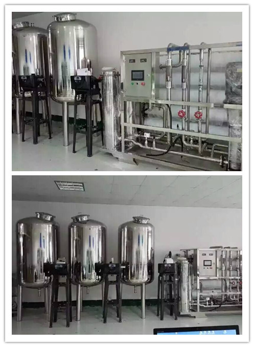 純水設(shè)備 反滲透設(shè)備 全自動控制系統(tǒng)全不銹鋼純化水設(shè)備 EDI去離子水設(shè)備 凈化水設(shè)備