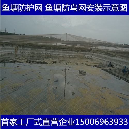 哪里生產(chǎn)葡萄防鳥網(wǎng)+哪里的葡萄防鳥網(wǎng)價(jià)格低