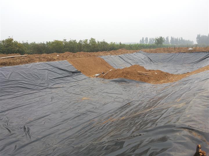PE復(fù)合土工膜 PE復(fù)合土工膜厚度  PE復(fù)合土工膜價(jià)格