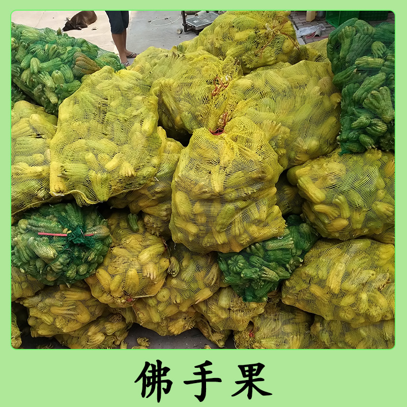 南寧佛手果優(yōu)質(zhì)果苗種植基地-廠家報(bào)價(jià)直銷(xiāo)供應(yīng)商