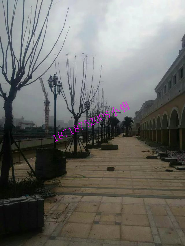 不銹鋼庭院燈廠家 太陽能庭院燈廠家批發(fā) 不銹鋼庭院燈批發(fā)價  公園單/雙頭庭院燈廠家定制