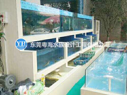 東莞海鮮池粵海水族設計工程