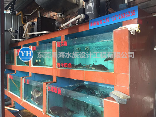 東莞海鮮池粵海水族設計工程