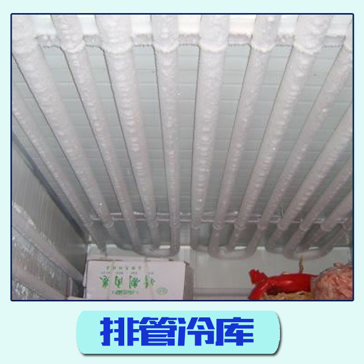 安徽冷庫工程排管冷庫 節(jié)能鋁排冷藏庫 果蔬保鮮庫 蒸發(fā)式排管冷庫