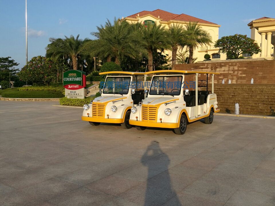 11座景區(qū)觀光車  公園旅游車