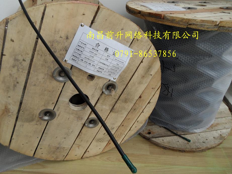 供應(yīng)前升 4芯室外單模光纜