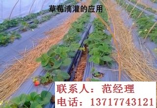 直銷滴灌管材-滴灌帶價格-滴灌管-DN63*3.5mm