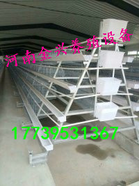 肉雞籠育雛籠撿蛋上料清糞風(fēng)機(jī)水簾 金興層疊式雞籠蛋雞籠肉雞籠育雛籠