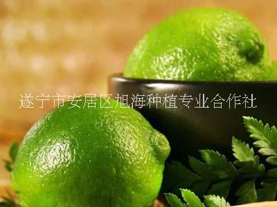 康檸源一級青檸檬，產地直接批發(fā)，量大價優(yōu)，歡迎采購