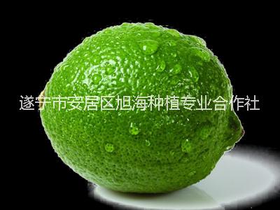 康檸源一級青檸檬，產地直接批發(fā)，量大價優(yōu)，歡迎采購