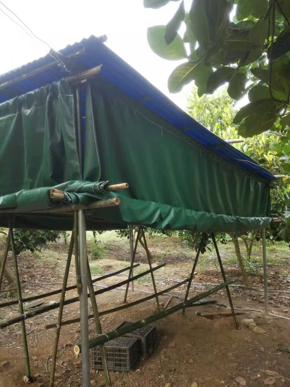 廠家熱銷豬場卷簾 豬場保溫卷簾 豬場帆布卷簾 *惠