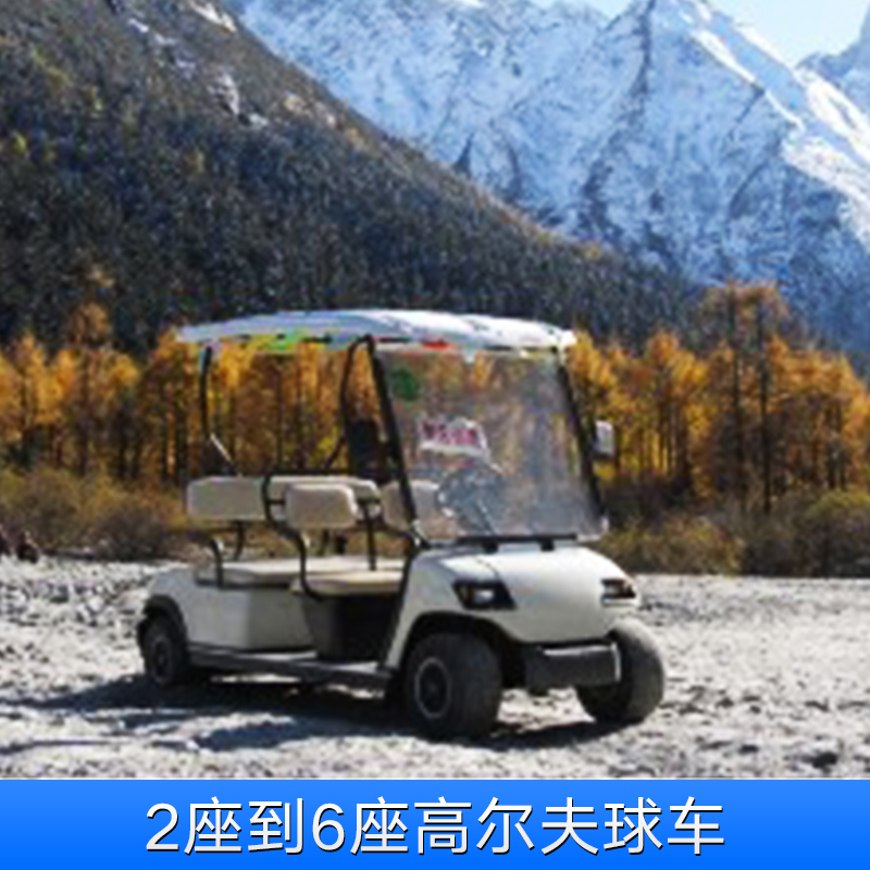2座到6座高爾夫球車(chē) 新能源四輪電動(dòng)高爾夫球車(chē) 電動(dòng)游覽觀光車(chē)