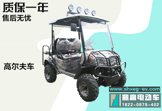 陜西益高觀光車 西安電動(dòng)* 益高電動(dòng)車 西安益高觀光車電動(dòng)*多座