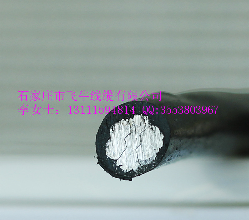 河北石家莊廠家直銷架空線/鋼芯鋁絞線/電力電纜/架空絕緣電纜