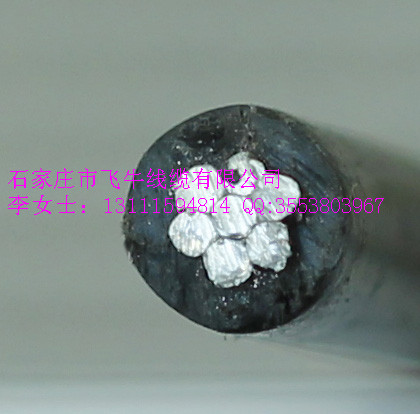 廠家直銷(xiāo)高低壓電力電纜/架空線/鋼芯鋁絞線/架空絕緣電纜 架空線/鋼芯鋁絞線/電力電纜