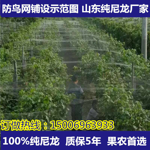 江西哪里有賣防鳥網(wǎng)的？防鳥網(wǎng)廠家