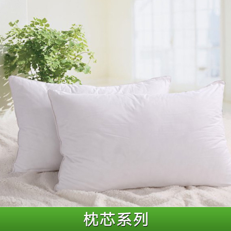枕芯系列 *蠶絲決明子枕 決明子磁條護(hù)頸枕 決明子明目枕 真空定型枕