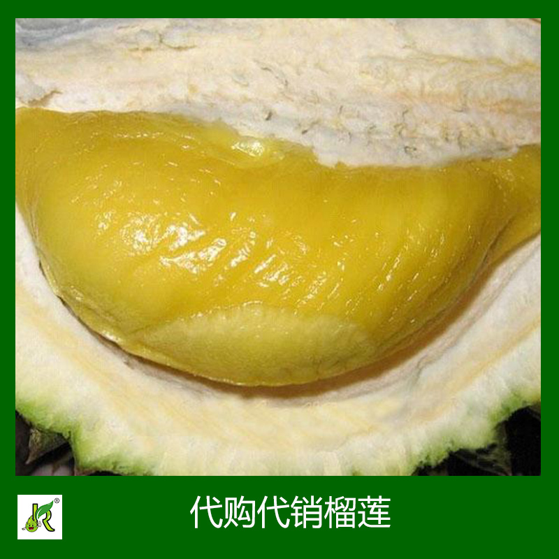 榴蓮 榴蓮水果批發(fā)  榴蓮水果供應(yīng)商 出售榴蓮