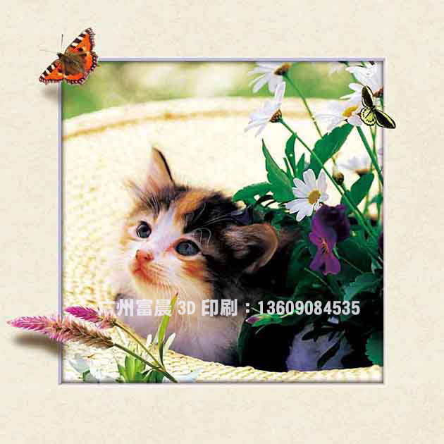 3D立體印刷，3D立體畫