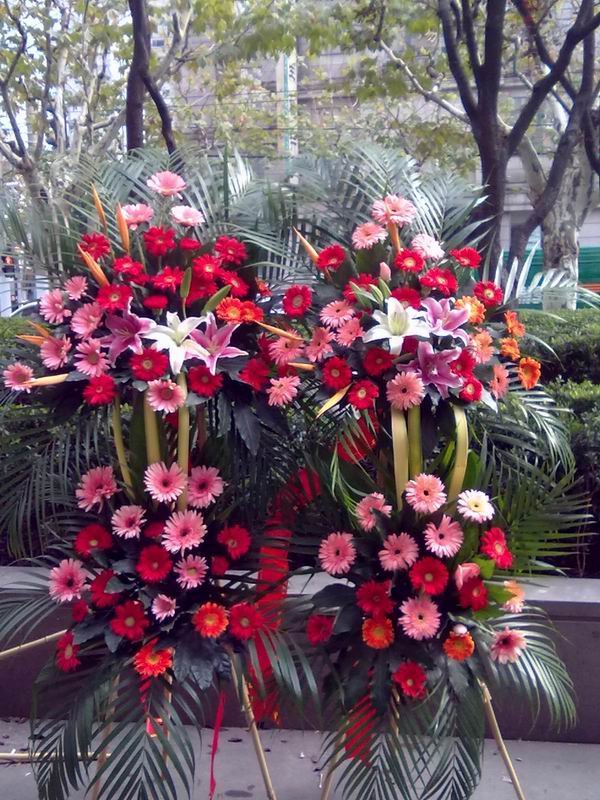 合肥市包河區(qū)徽州大道鮮花店