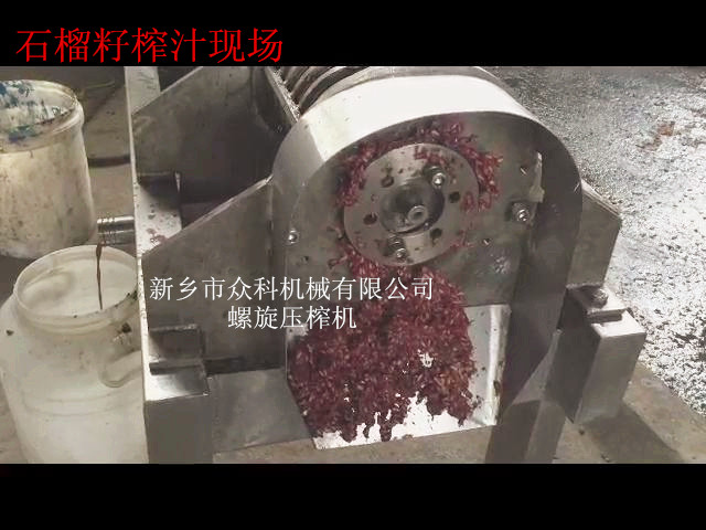 石榴榨汁機單螺旋壓榨機，全不銹鋼石榴剝皮機，果汁釀酒設備生產線 石榴籽壓榨機 優(yōu)質石榴剝皮機的特點