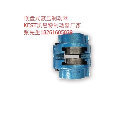 廠家直銷盤式常開液壓制動器油壓型