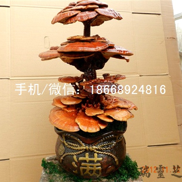 紅靈芝盆景市場價格 福建靈芝盆景活體靈芝擺件批發(fā) 活靈芝盆栽 冠縣靈芝盆景直銷批發(fā)
