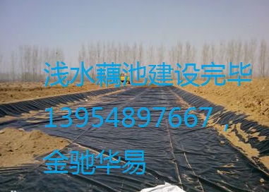 山東藕池防滲膜廠家，淺水藕種植技術(shù)，藕池防滲膜價(jià)格，防滲土工膜