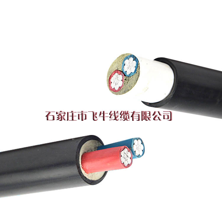 電力電纜價格 VLV2*10