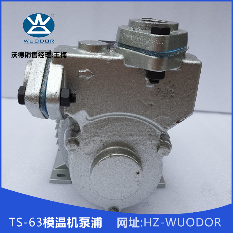 TS-63模溫機(jī)泵浦 TS-63 0.37KW高溫油泵 熱水循環(huán)泵 模溫機(jī)水泵