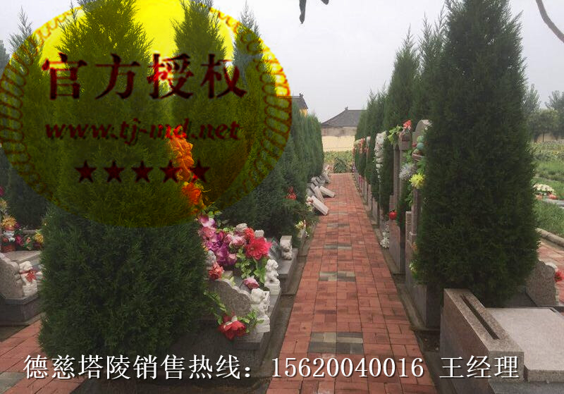 德慈塔陵怎么樣 天津市德慈塔陵 德慈塔陵價(jià)格 德慈塔陵地址 天津德慈塔陵