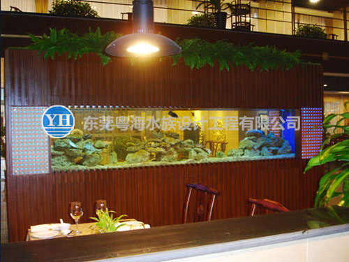 東莞海鮮池制作建造維修等相關(guān)水族工程  移動(dòng)海鮮池