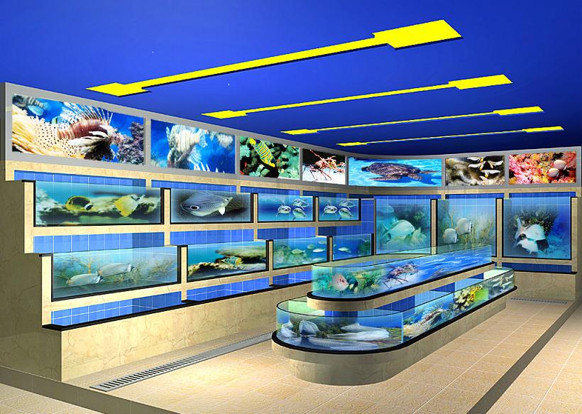 東莞海鮮池制作建造維修等相關(guān)水族工程  移動(dòng)海鮮池